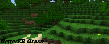 BetterER Grass [v2.51] (Для Beta 1.4)