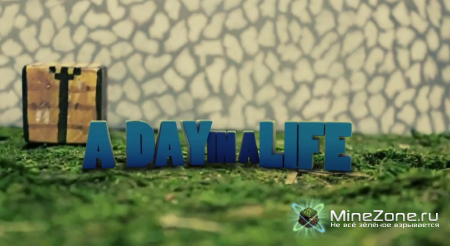 [HD] A Day in a Life